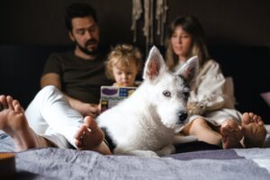 family and pet at home