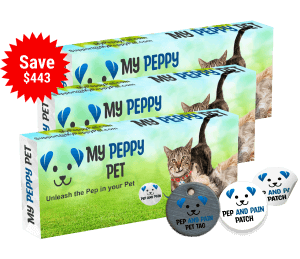 Pep and Pain Pet Tag, 3 Packs
