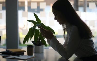 Protect Your Health from Electromagnetic Frequencies with QE Strong’s Solutions