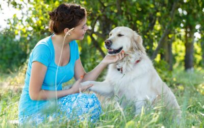 Exploring Natural Solutions for Pet Health with Quantum Energy