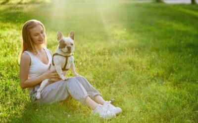 Ways to Help Pets with Anxiety Using Quantum Energy Products